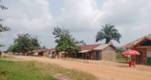 Ituri : une attaque rebelle fait 5 morts à Irumu-Mafifi Ituri